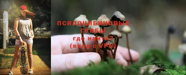 spice Липки