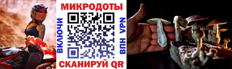 Псилоцибиновые грибы мицелий  Таганрог 