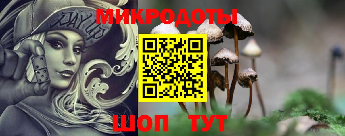 Таганрог  Галлюциногенные грибы мицелий  Вход с VPN 